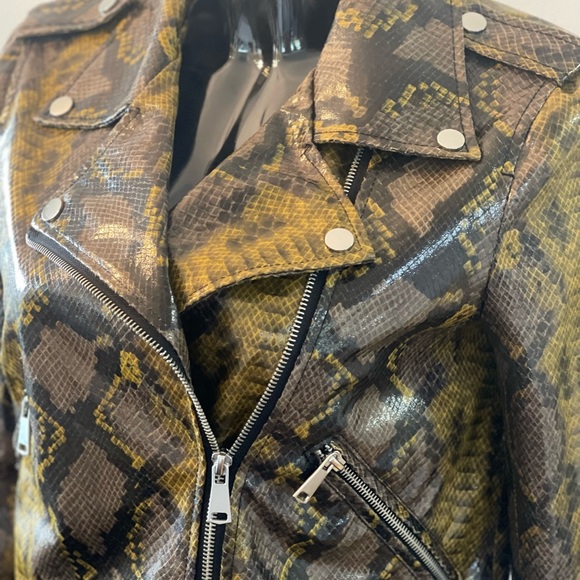 Zara Snakeskin Moto Jacket - Picture 4 of 8